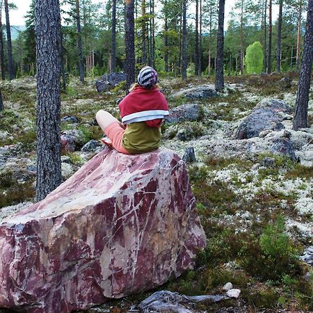 Ljørdal 12 - Fulufjellets Nasjonalparker - Natur-, Dyre- Og Fugleopplevelser מראה חיצוני תמונה