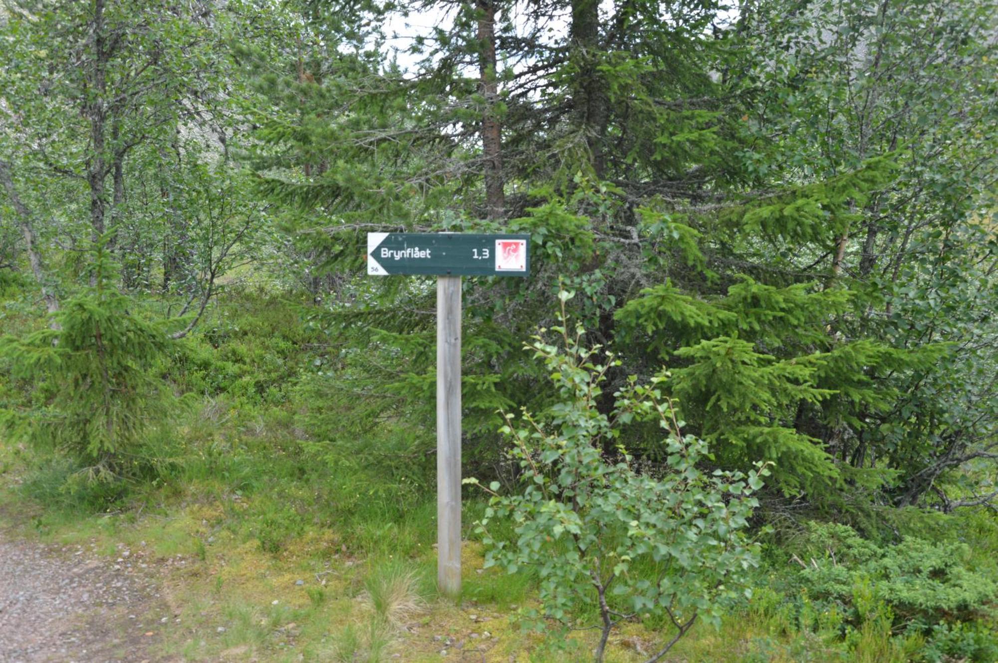 Ljørdal 12 - Fulufjellets Nasjonalparker - Natur-, Dyre- Og Fugleopplevelser מראה חיצוני תמונה