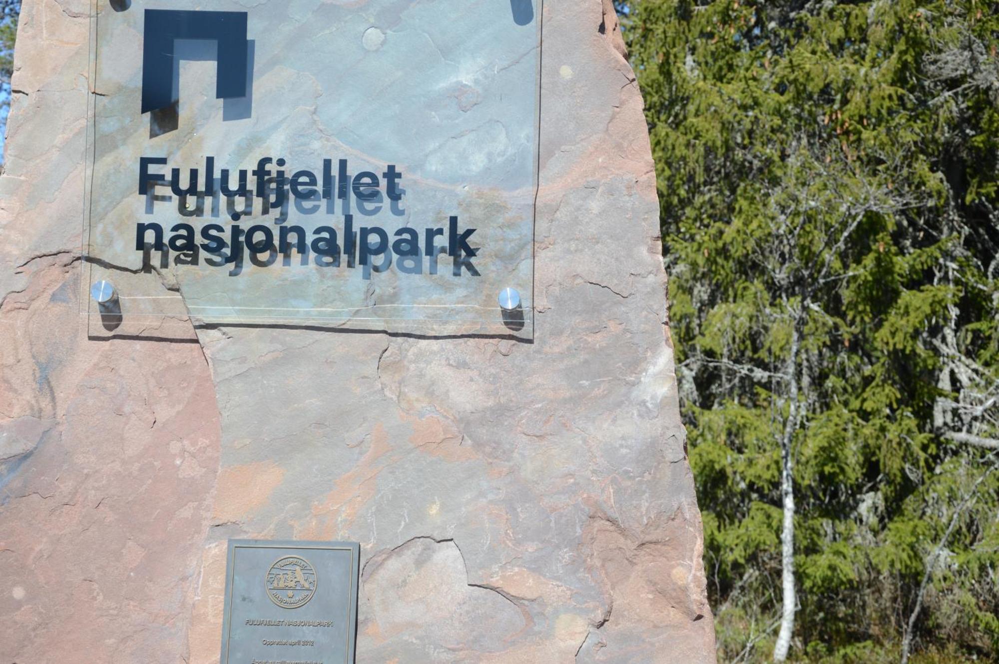 Ljørdal 12 - Fulufjellets Nasjonalparker - Natur-, Dyre- Og Fugleopplevelser מראה חיצוני תמונה